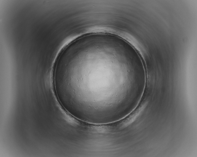 X0000111931045200908101138