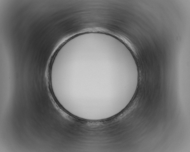 X0000111931046200908101138