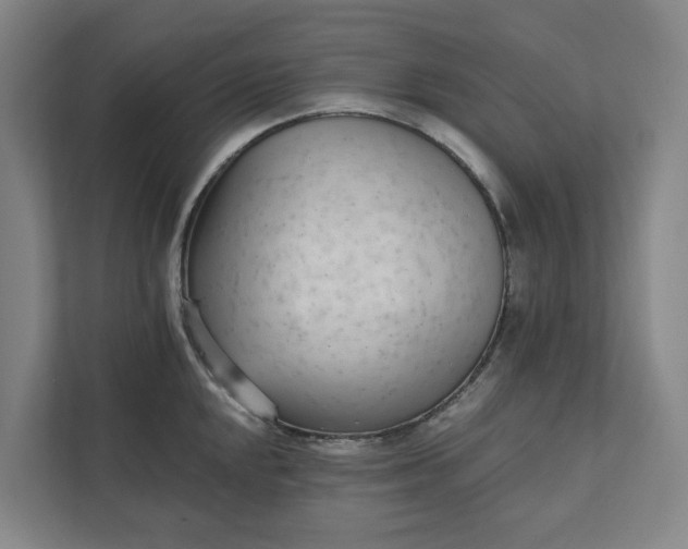 X0000111931048200908101138