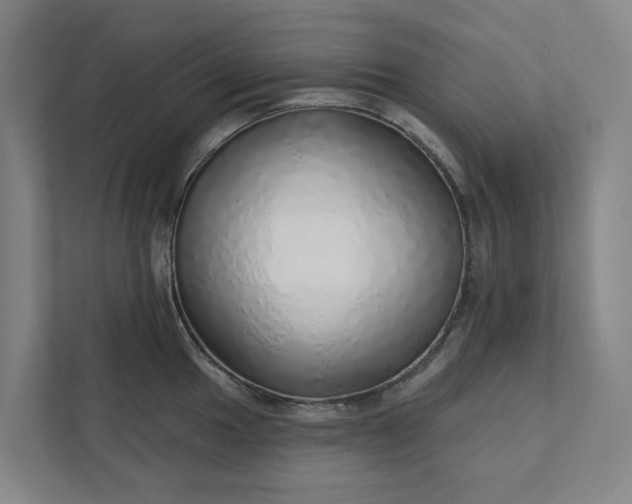 X0000111931049200908101138