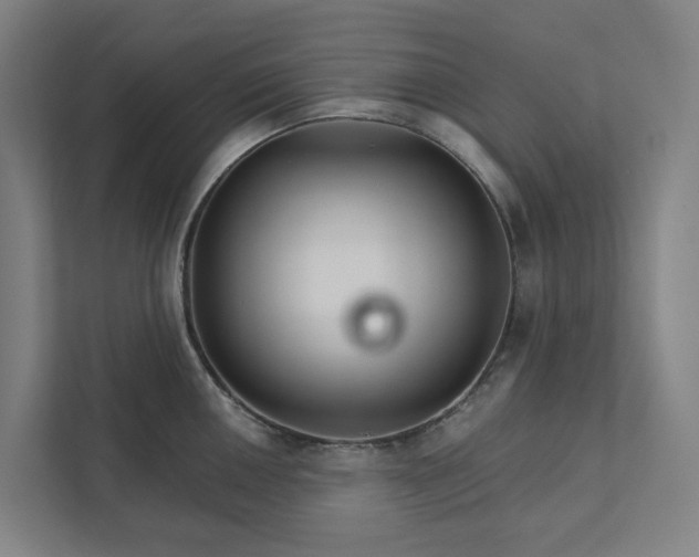 X0000111931050200908101138