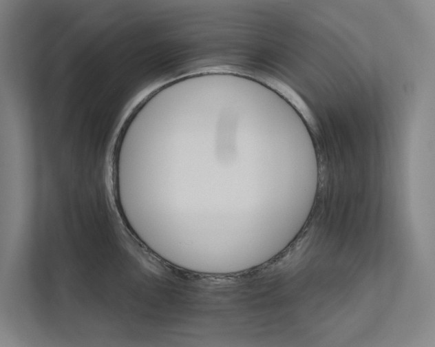 X0000111931051200908101138