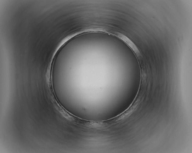 X0000111931052200908101138