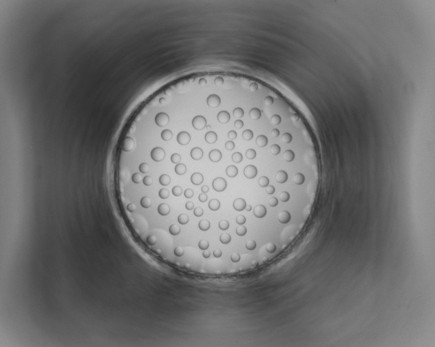 X0000111931053200908101138