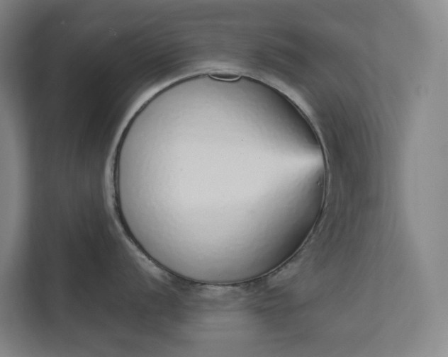 X0000111931056200908101138