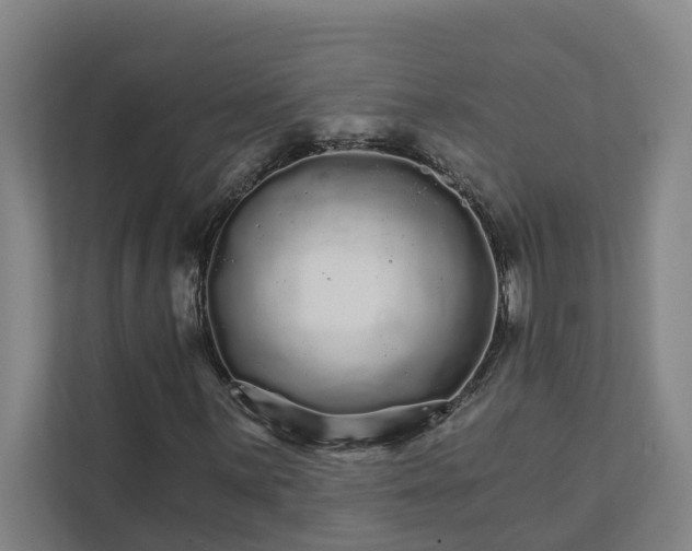 X0000111931059200908101137