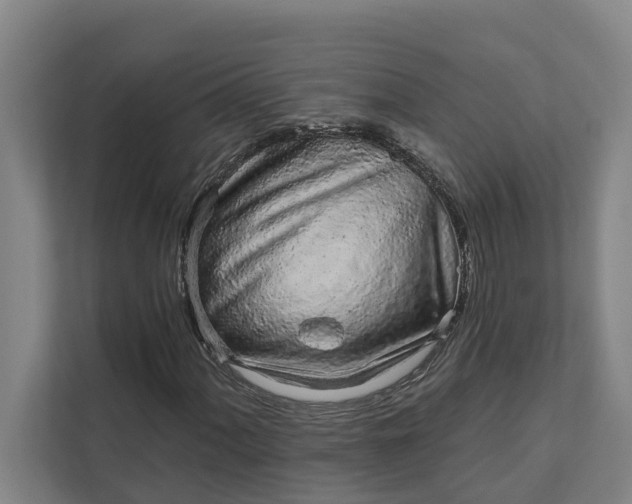 X0000111931060200908101137