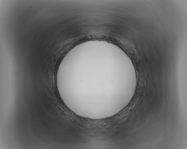 X0000111931061200908101137