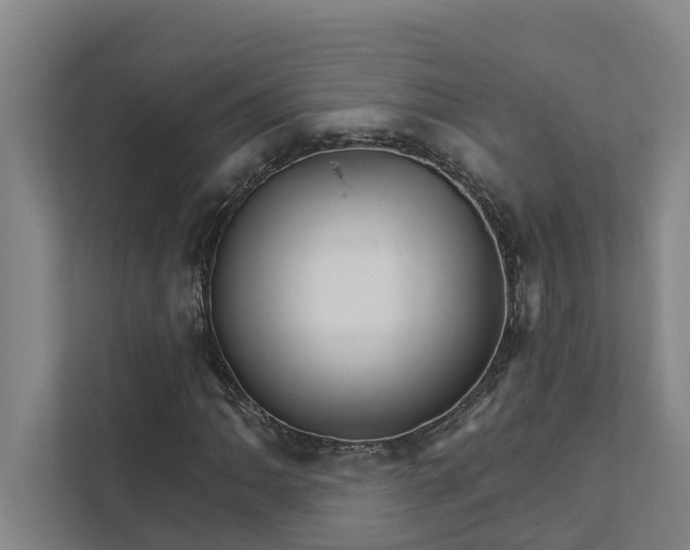 X0000111931062200908101137