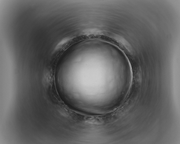 X0000111931063200908101137