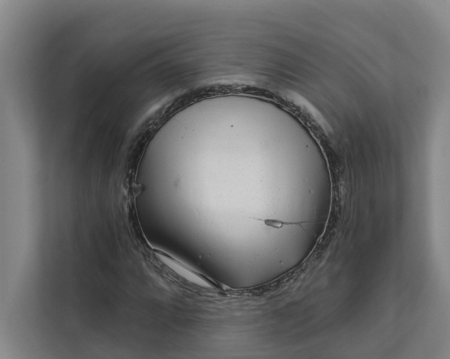 X0000111931064200908101137