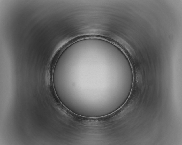 X0000111931069200908101137