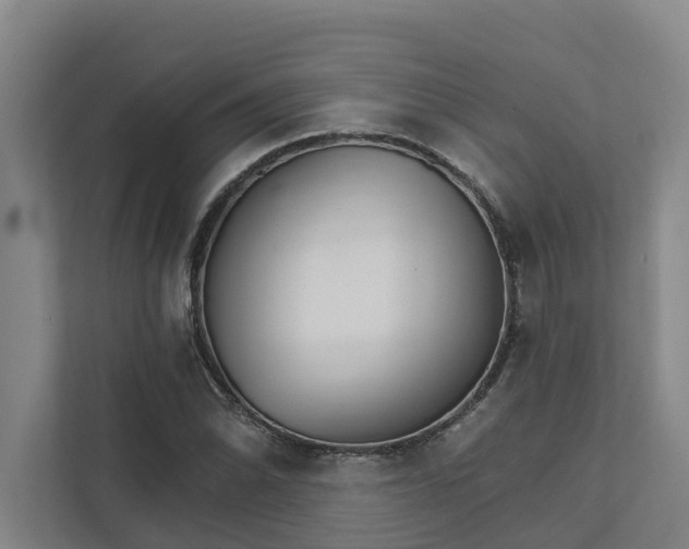 X0000111931070200908101137