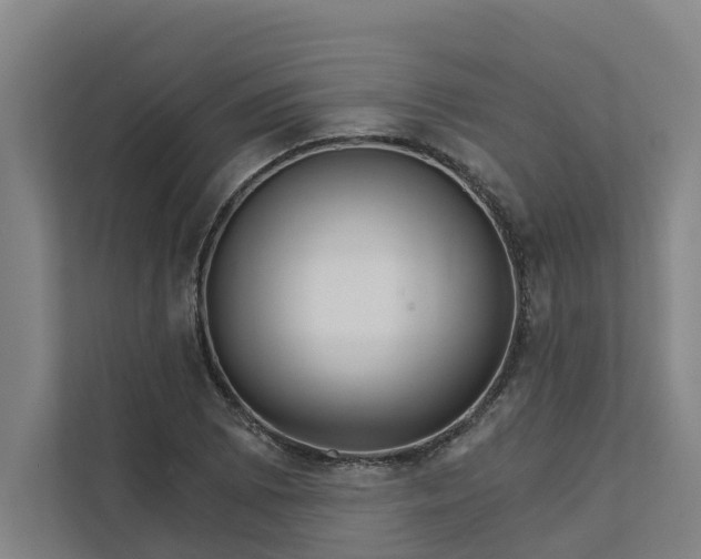 X0000111931073200908101137