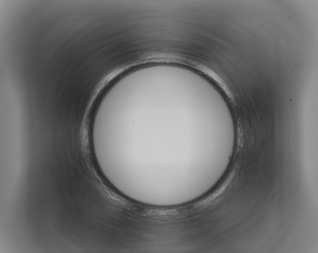 X0000111931074200908101137