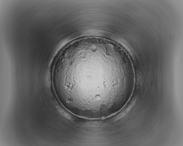 X0000111931075200908101137