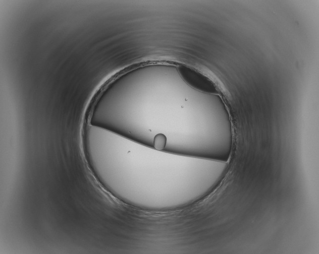 X0000111931076200908101137