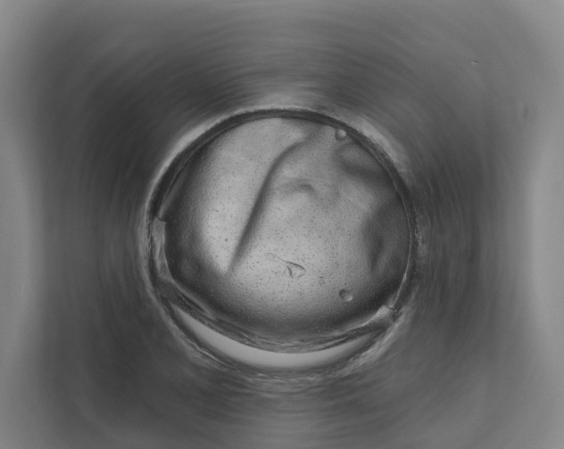 X0000111931077200908101137