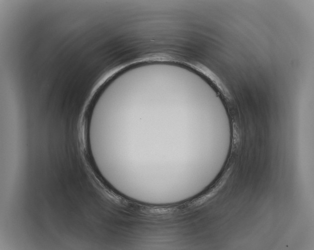 X0000111931078200908101137