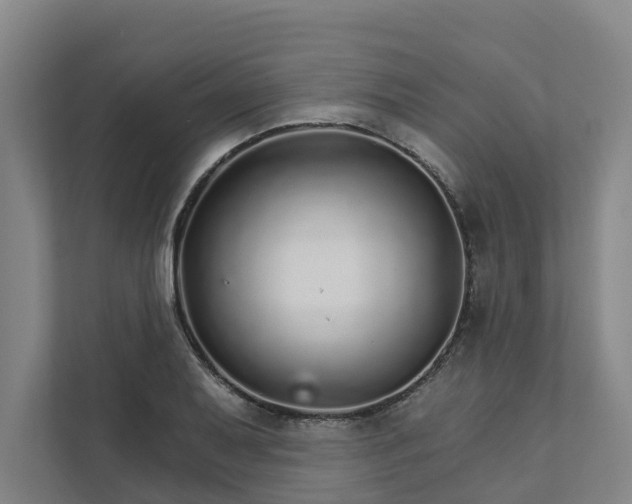 X0000111931079200908101137