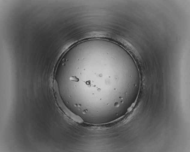 X0000111931081200908101137