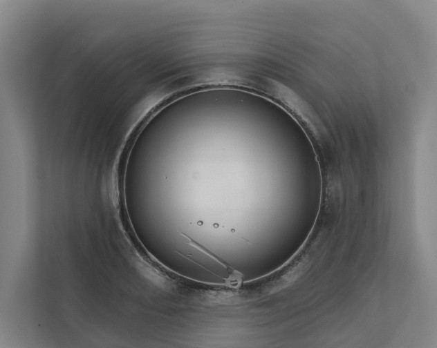 X0000111931082200908101137