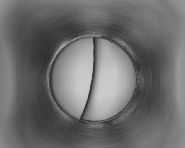 X0000111931083200908101137