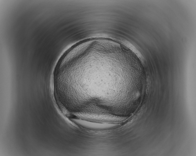 X0000111931084200908101137