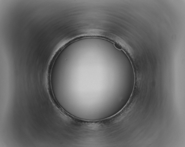 X0000111931085200908101137