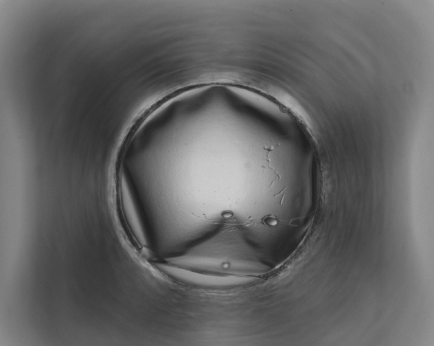 X0000111931088200908101137