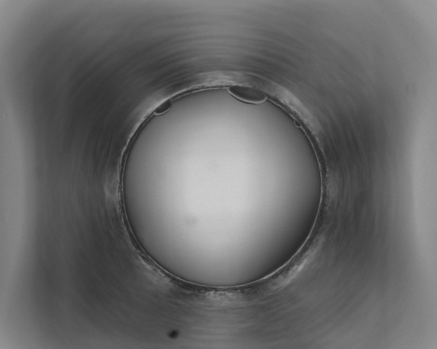 X0000111931089200908101137