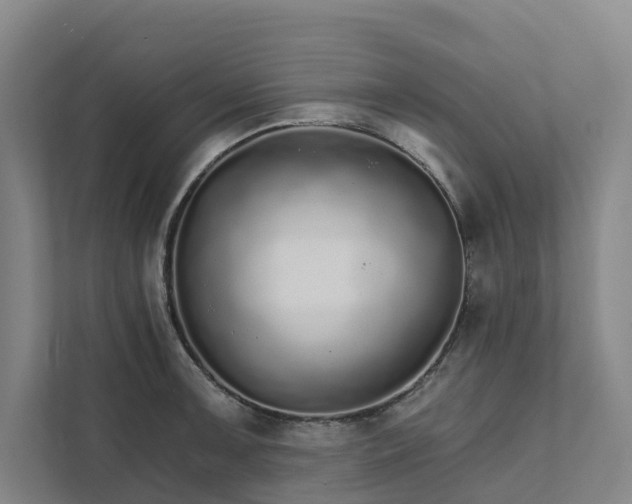 X0000111931091200908101137