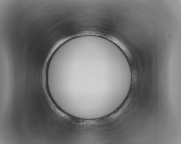 X0000111931094200908101137