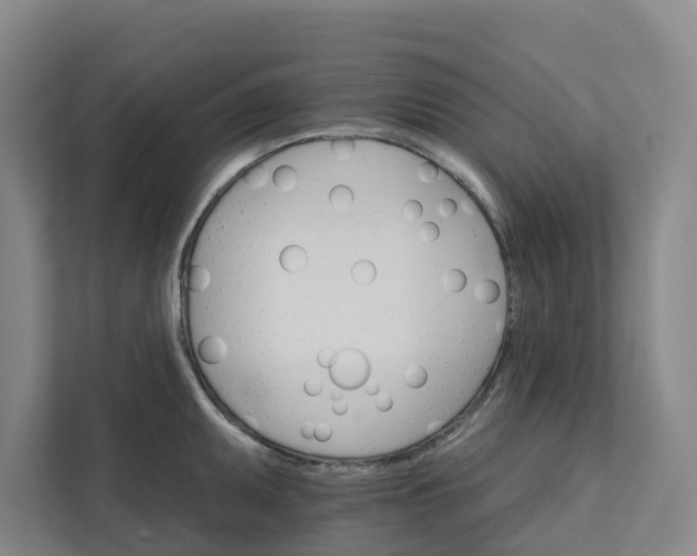 X0000111931095200908101137