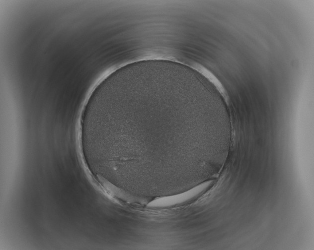 X0000111931096200908101137