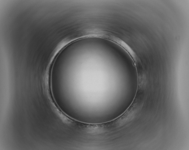 X0000111931099200908101137