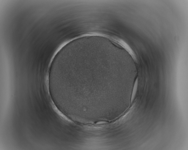 X0000111931100200908101137