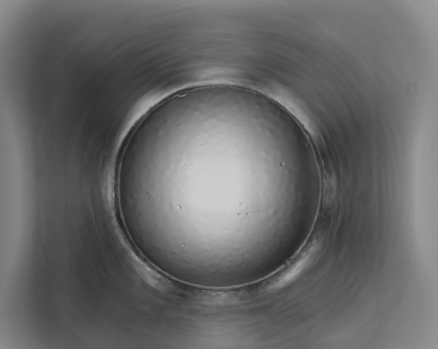 X0000111931101200908101137