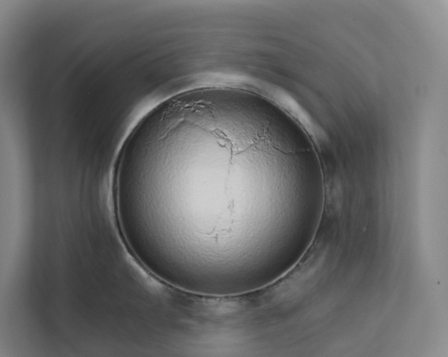 X0000111931103200908101137