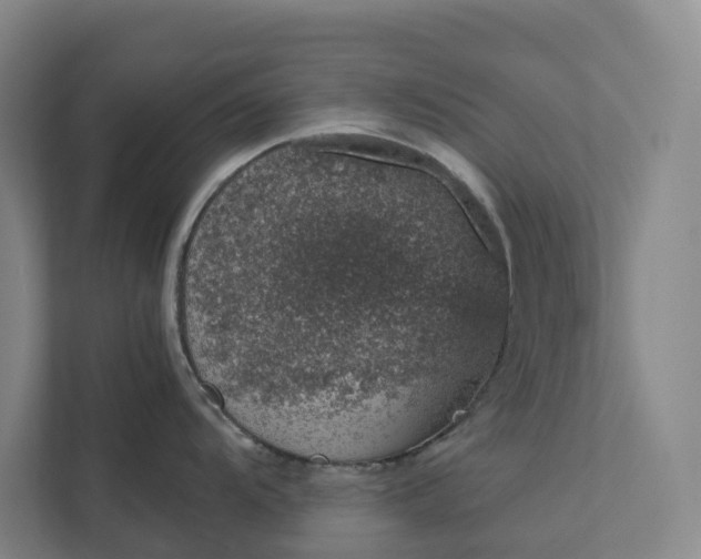 X0000111931104200908101137