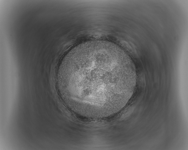 X0000111931105200908101136