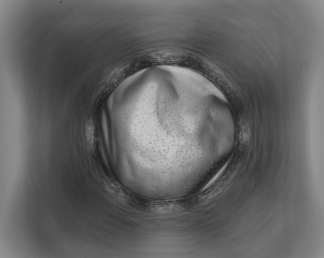 X0000111931108200908101136