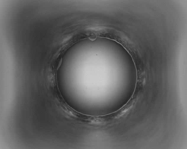 X0000111931109200908101136