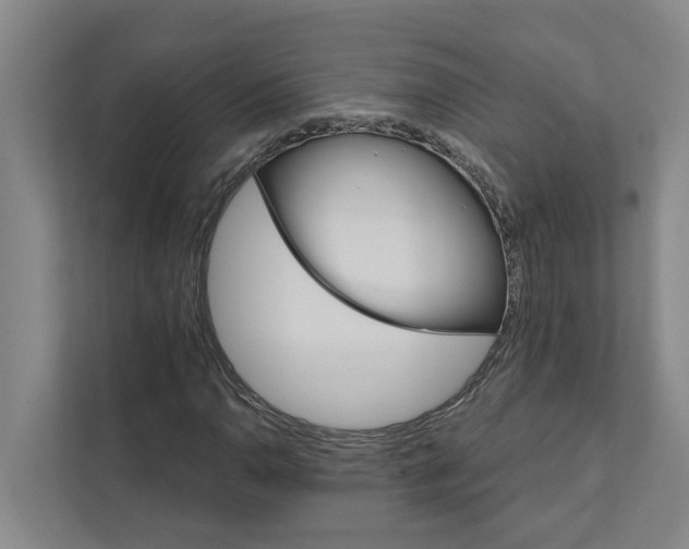 X0000111931110200908101136