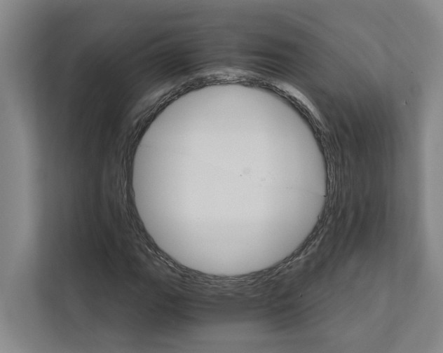 X0000111931111200908101136