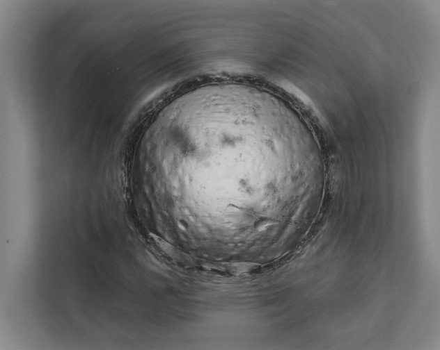 X0000111931112200908101136