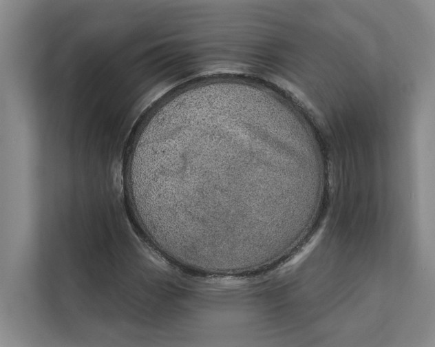 X0000111931113200908101136