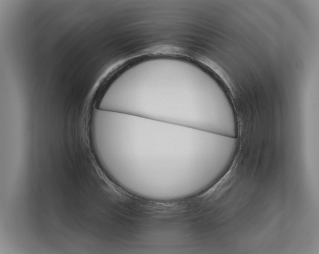 X0000111931115200908101136