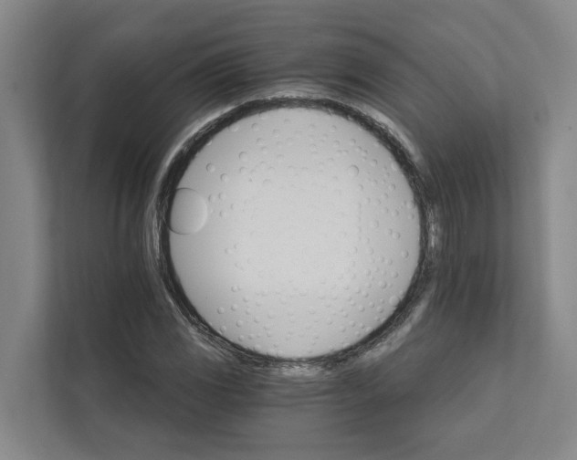 X0000111931117200908101136