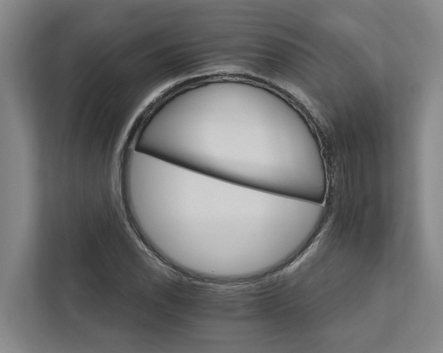 X0000111931118200908101136